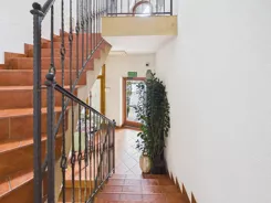 REMAX-536/2680/OLW - zdjęcie nr 3