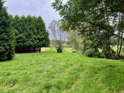 REMAX-119-KS-AMBER - zdjęcie nr 0