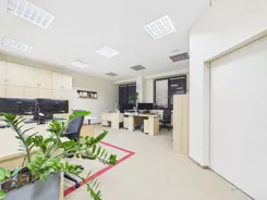 REMAX-463/4565/OLW - zdjęcie nr 1