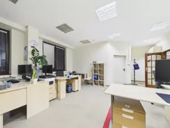 REMAX-463/4565/OLW - zdjęcie nr 2