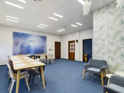 REMAX-462/4565/OLW - zdjęcie nr 0