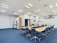 REMAX-462/4565/OLW - zdjęcie nr 2