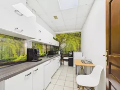 REMAX-464/4565/OLW - zdjęcie nr 2