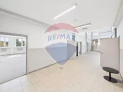 REMAX-IMPACT-I-16/15977/OLW - zdjęcie nr 1