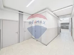 REMAX-IMPACT-I-16/15977/OLW - zdjęcie nr 2
