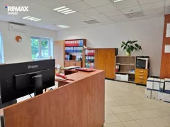 REMAX-2039/3123/OLW - zdjęcie nr 4