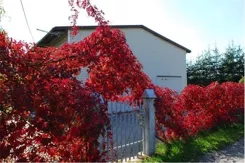REMAX-5-KS-HOMEPRO - zdjęcie nr 0