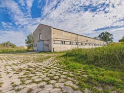 REMAX-145-HW-AMBER - zdjęcie nr 1