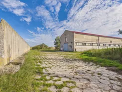 REMAX-145-HW-AMBER - zdjęcie nr 2