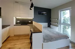 REMAX-PEAK-I-334/3061/OMS - zdjęcie nr 0