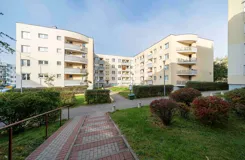 REMAX-133-MS-EXPERTS - zdjęcie nr 3