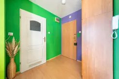 REMAX-81-MS-EXPERTS - zdjęcie nr 2