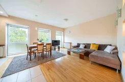 REMAX-130-MS-EXPERTS - zdjęcie nr 1