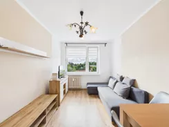 REMAX-71-MS-AMBER - zdjęcie nr 1