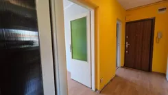 REMAX-18-MS-EXPERTS - zdjęcie nr 2