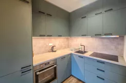 REMAX-PEAK-I-395/3061/OMS - zdjęcie nr 0