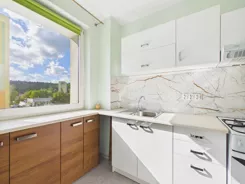 REMAX-23-MS-AMBER - zdjęcie nr 3