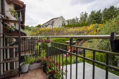 REMAX-72-MS-EXPERTS - zdjęcie nr 2