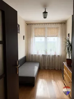 REMAX-5-MS-7MdleEBF0I - zdjęcie nr 0
