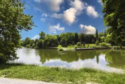 REMAX-135-MS-CITY - zdjęcie nr 1