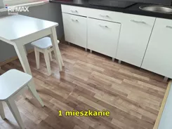 REMAX-166-MS-INVEST - zdjęcie nr 1