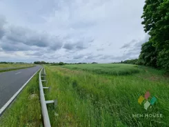 1617/6682/OGS - zdjęcie nr 3