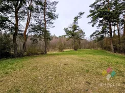 1895/6682/OGS - zdjęcie nr 3