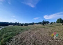 1569/6682/OGS - zdjęcie nr 4
