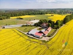 448/6682/OOS - zdjęcie nr 1