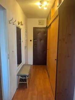 10486952 - zdjęcie nr 1