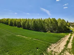 478747 - zdjęcie nr 3