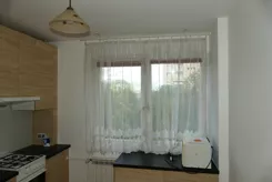 10493986 - zdjęcie nr 0