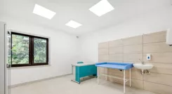 10494020 - zdjęcie nr 4