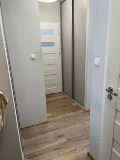 10497391 - zdjęcie nr 3