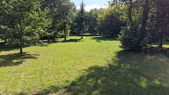 10507569 - zdjęcie nr 2