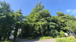 116721 - zdjęcie nr 3