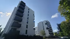 431155 - zdjęcie nr 0
