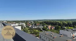 590638 - zdjęcie nr 3