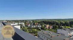131612 - zdjęcie nr 1