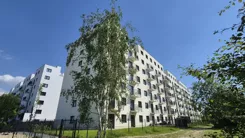 888817 - zdjęcie nr 2
