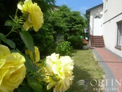 OR016953 - zdjęcie nr 0