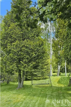 OR017333 - zdjęcie nr 4