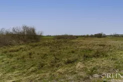 OR017336 - zdjęcie nr 3