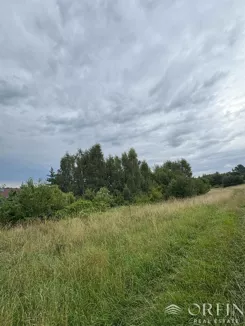 OR017176 - zdjęcie nr 0