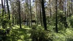 OR017044 - zdjęcie nr 4
