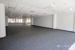 OR017019 - zdjęcie nr 2