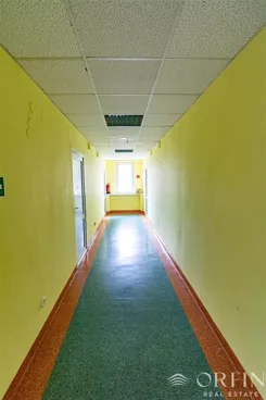 OR017133 - zdjęcie nr 1