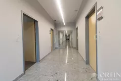 OR017288 - zdjęcie nr 2