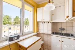 OR017241 - zdjęcie nr 2