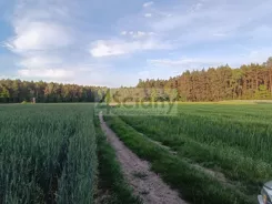 7025/3098/ODS - zdjęcie nr 0